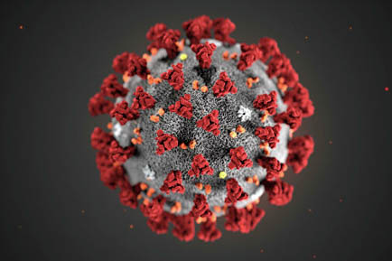 В Прикамье зарегистрировано ещё пять заболевших коронавирусом