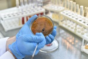 28 новых случаев заражения коронавирусом в Прикамье