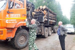 Жители посёлка Тюсь против лесовозов