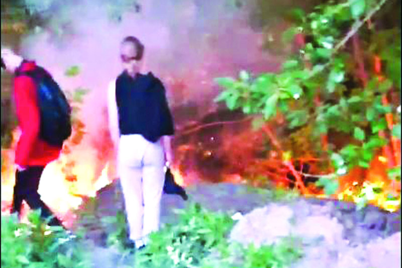 В Добрянке подростки подожгли пух и едва не спалили деревья