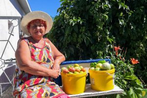 В огород – с подоконника. Жительница Задобрянки делится опытом, как получить хороший урожай