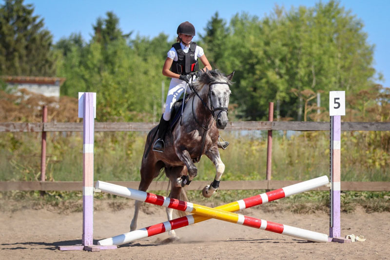 Чем привлекателен конный спорт для жителей Добрянского округа