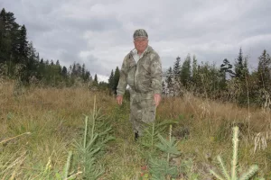 Сберечь зелёное богатство