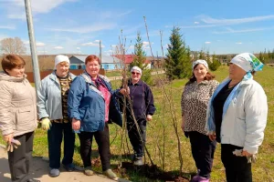 Вильвенские рябины