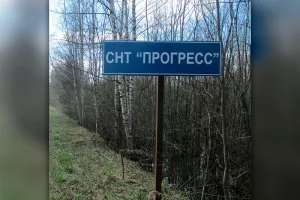 Садоводы остались без автобуса