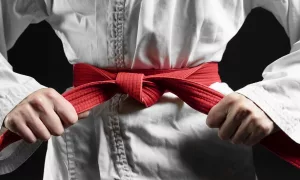 За пояс заткнуть