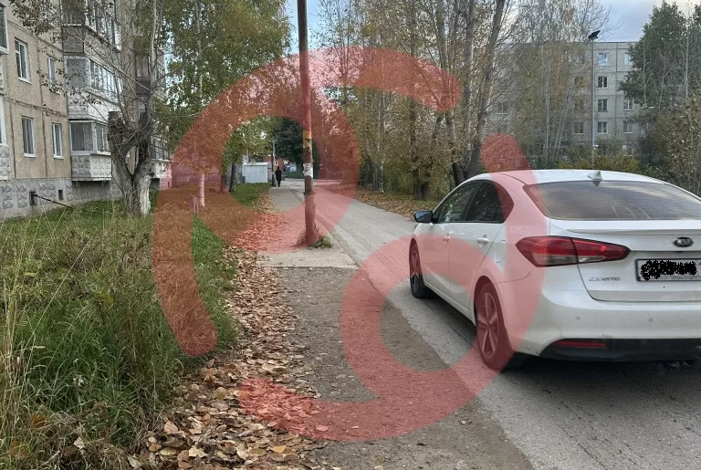 Жители учат работать