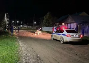 Суд вынес приговор подростку, совершившему смертельное ДТП