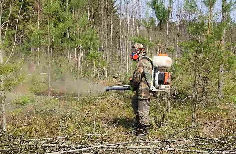 Проведут обработку против клещей