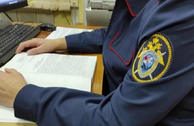 В Добрянском округе собака напала на пенсионерку