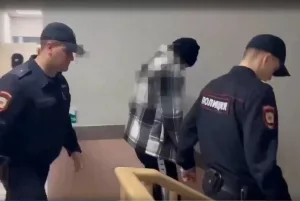 Взят под стражу на два месяца