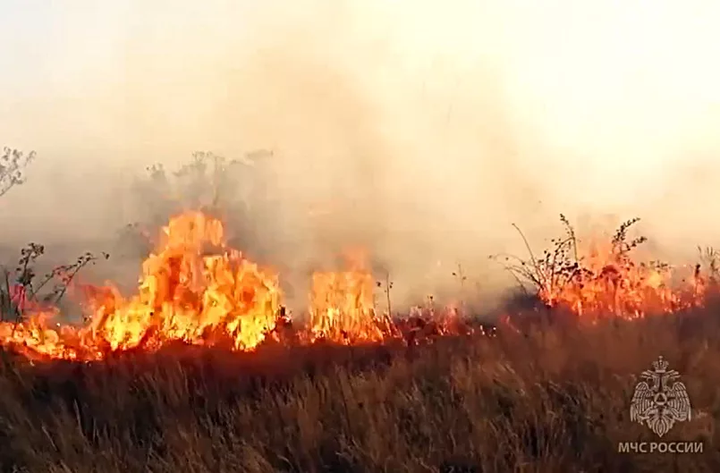 В Пермском крае вводится особый противопожарный режим