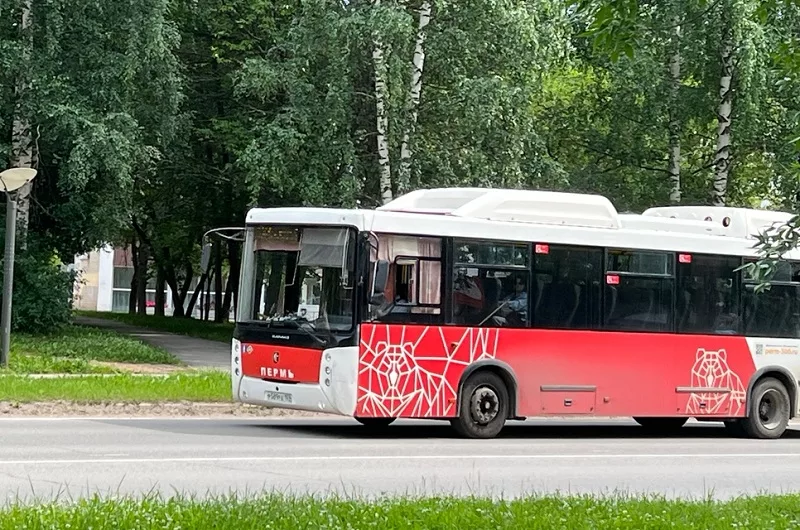 Места в автобусе пришлось освободить
