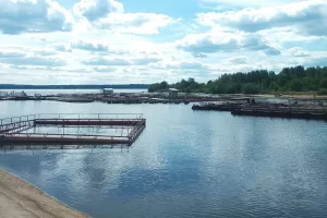 Оспорить компенсацию за погибшую рыбу не удалось