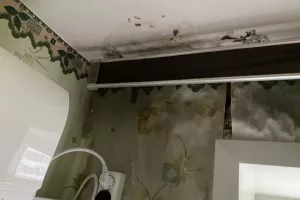 Не могут справиться с дырявыми крышами