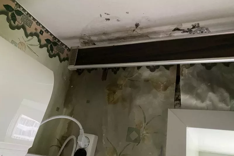 Не могут справиться с дырявыми крышами