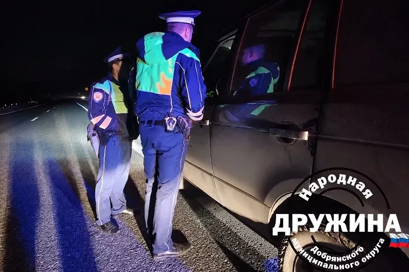 Авантюры ночного рейда