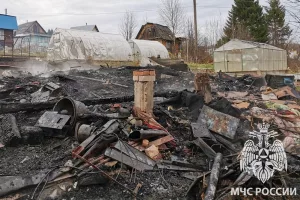 Пожар в СНТ